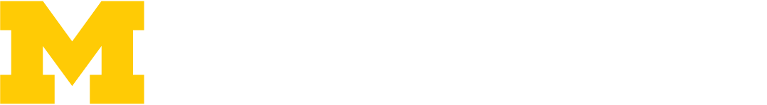 The University of Michigan ISR VR Lab